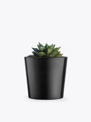 product-image-3_optimized