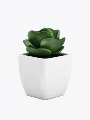 product-image-9_optimized